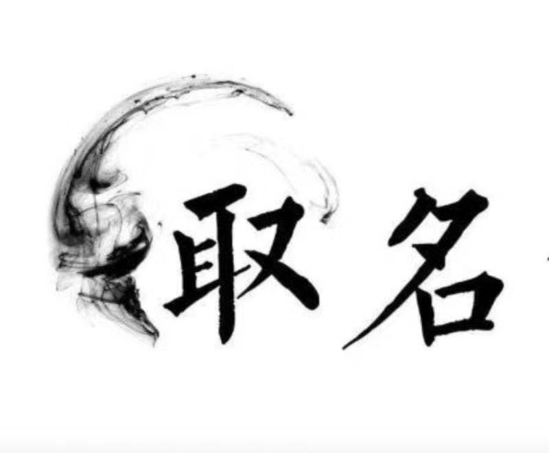  南郑宝宝取名 大师一对一人工起名
